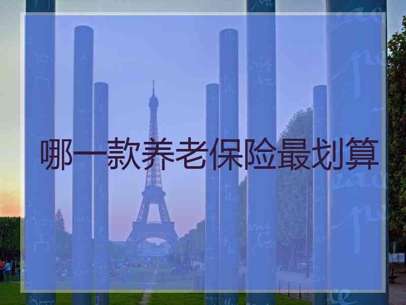 哪一款养老保险最划算