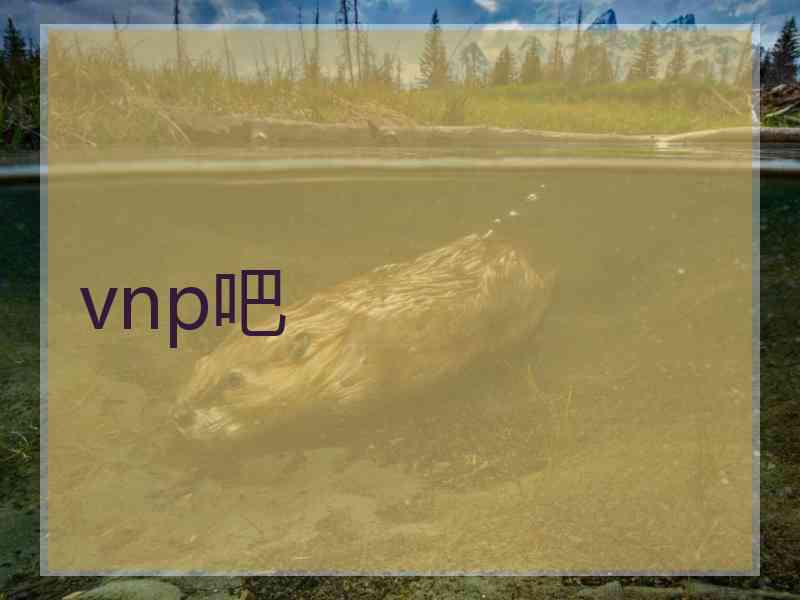 vnp吧