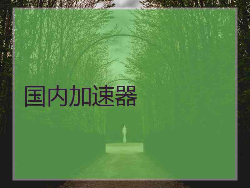 国内加速器