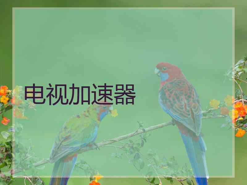 电视加速器