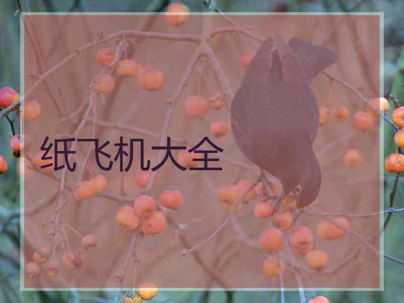 纸飞机大全