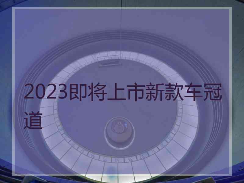 2023即将上市新款车冠道