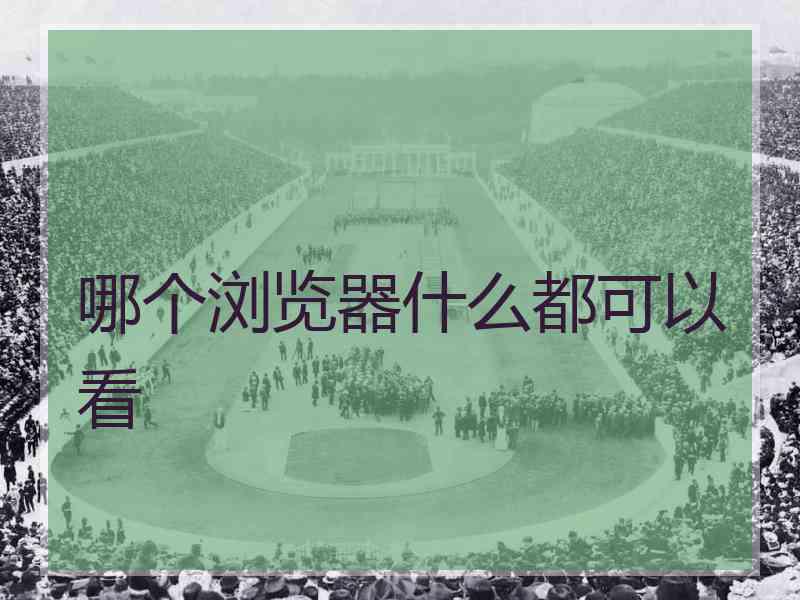 哪个浏览器什么都可以看