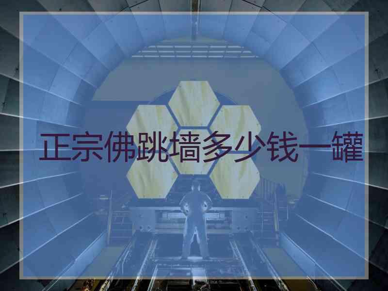 正宗佛跳墙多少钱一罐