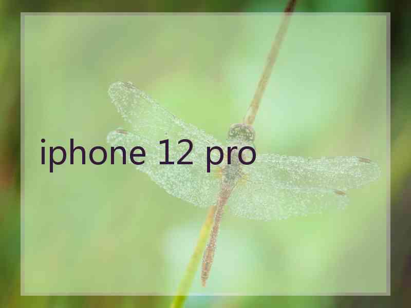 iphone 12 pro