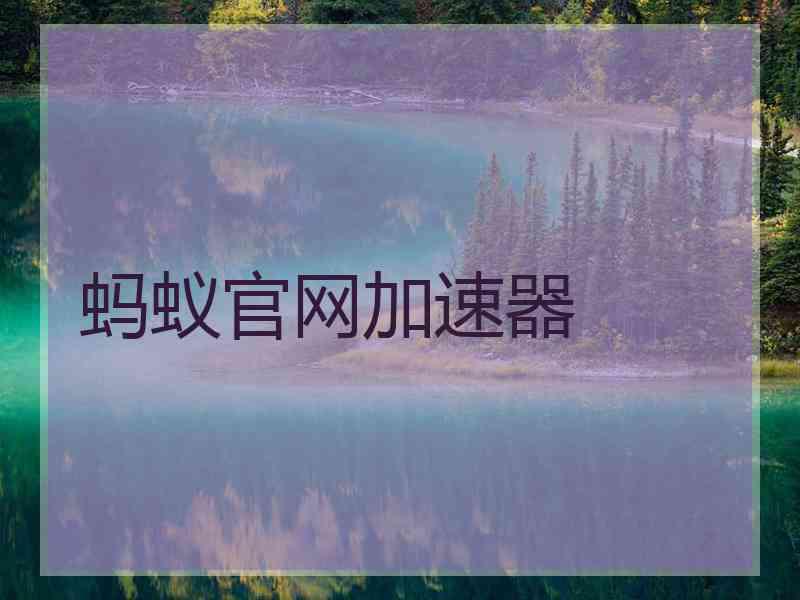 蚂蚁官网加速器