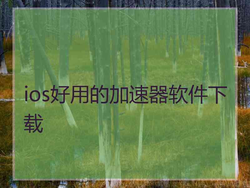 ios好用的加速器软件下载