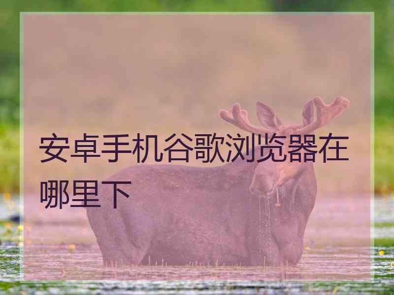 安卓手机谷歌浏览器在哪里下
