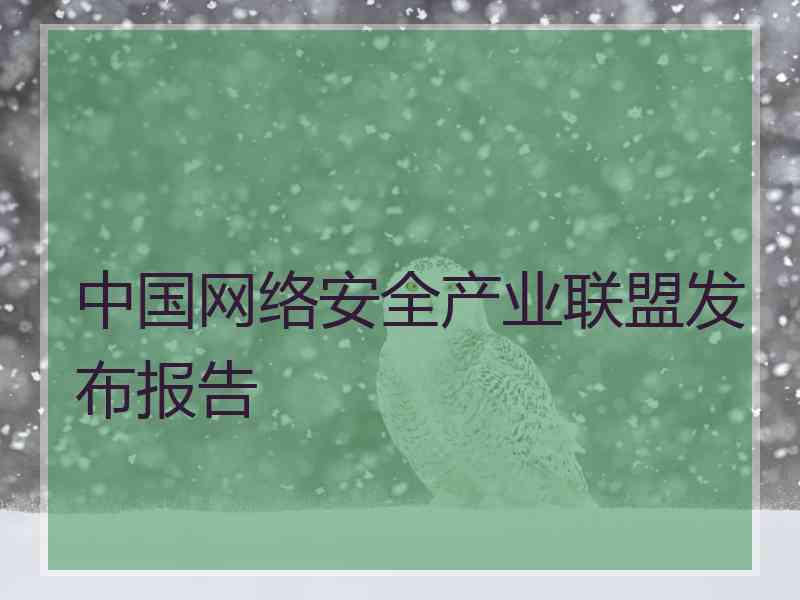 中国网络安全产业联盟发布报告