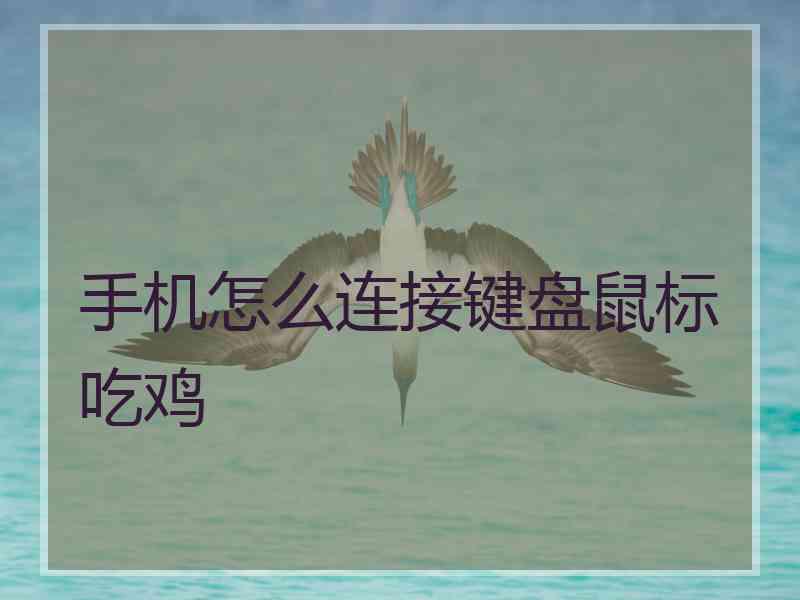 手机怎么连接键盘鼠标吃鸡