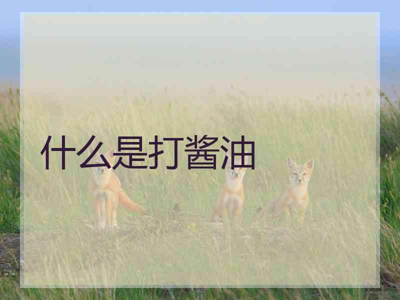 什么是打酱油