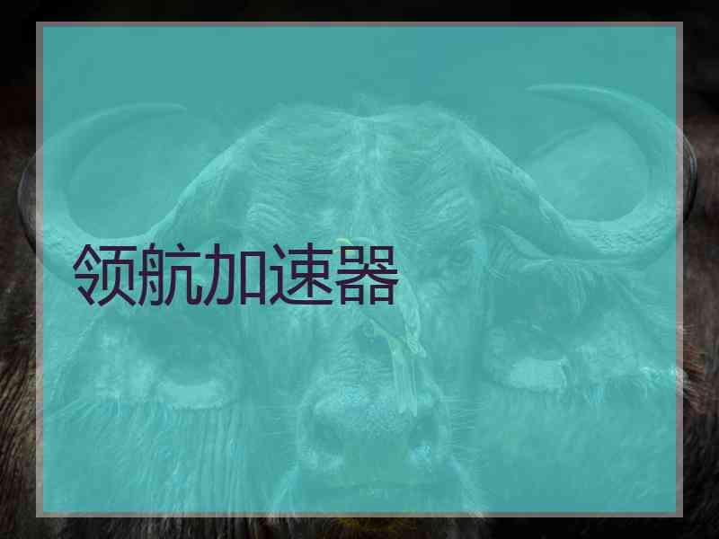 领航加速器
