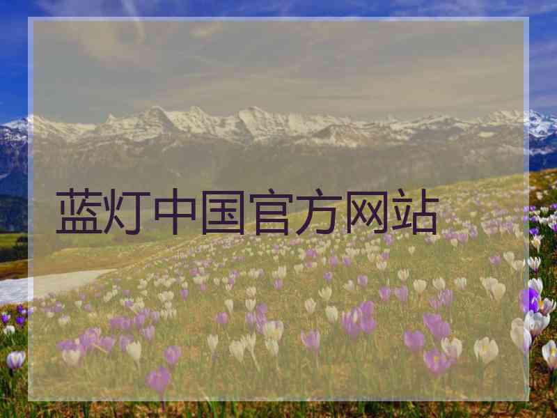 蓝灯中国官方网站