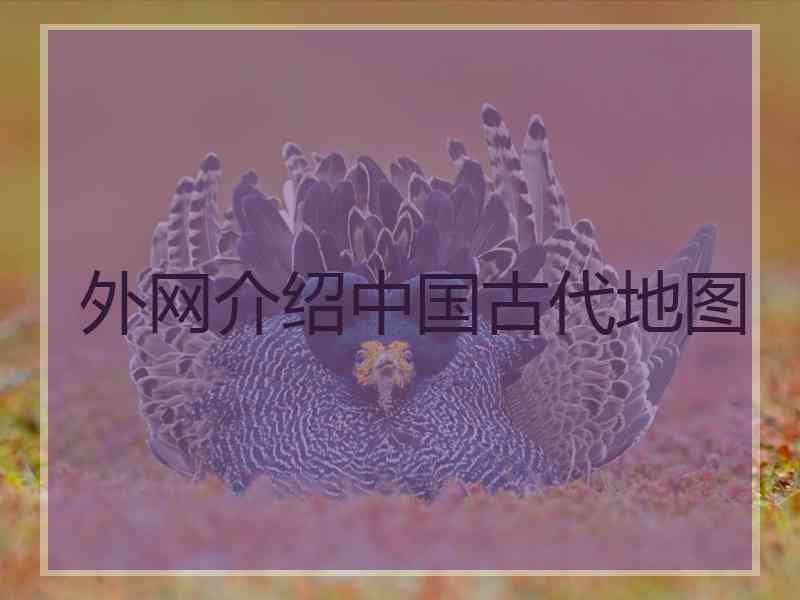 外网介绍中国古代地图