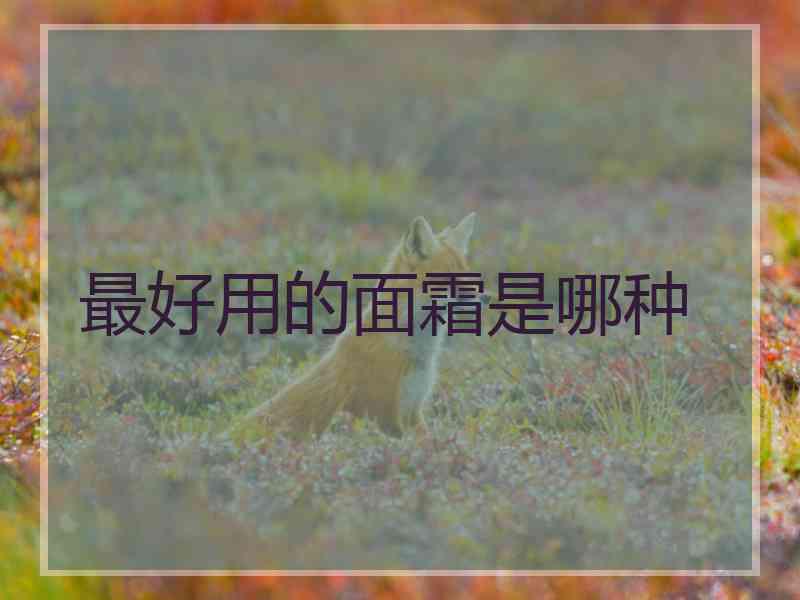 最好用的面霜是哪种