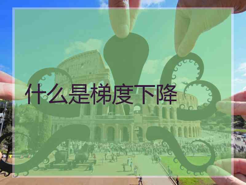 什么是梯度下降