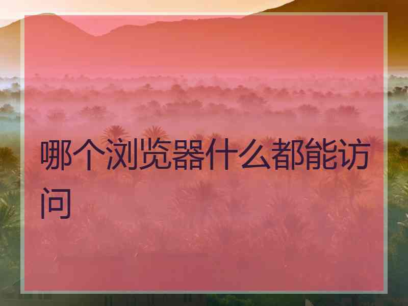 哪个浏览器什么都能访问