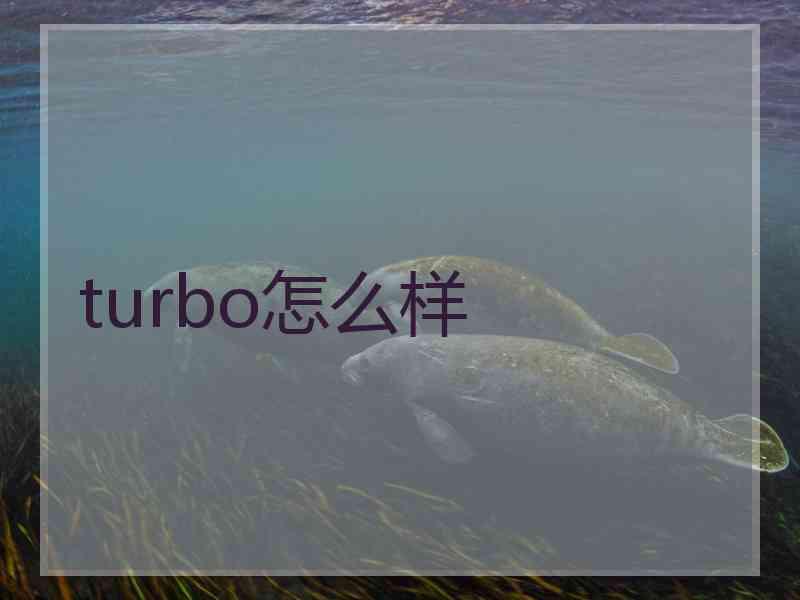 turbo怎么样