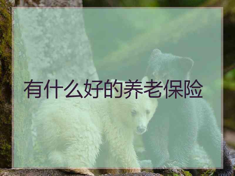 有什么好的养老保险