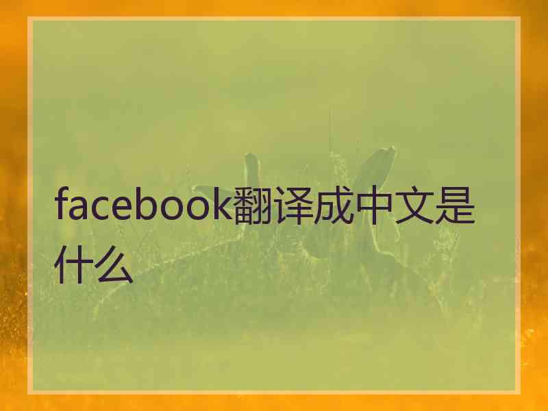 facebook翻译成中文是什么