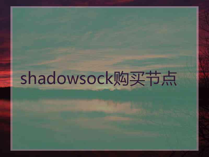 shadowsock购买节点