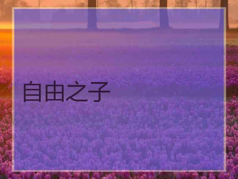 自由之子