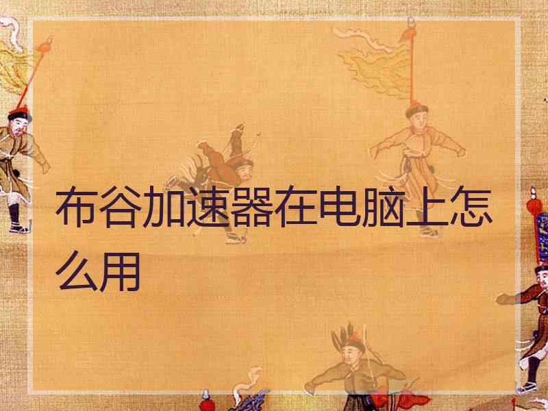 布谷加速器在电脑上怎么用