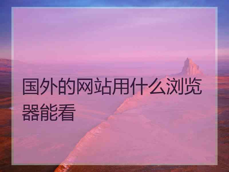 国外的网站用什么浏览器能看