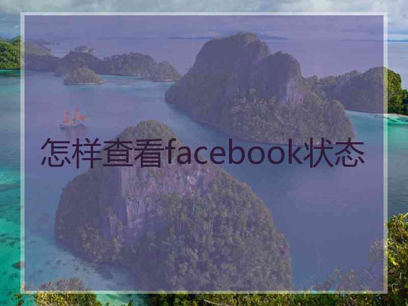 怎样查看facebook状态