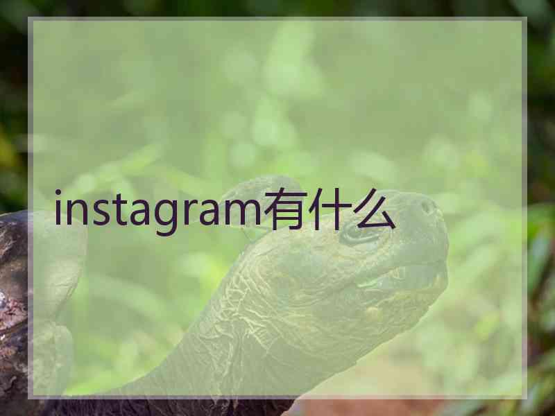 instagram有什么