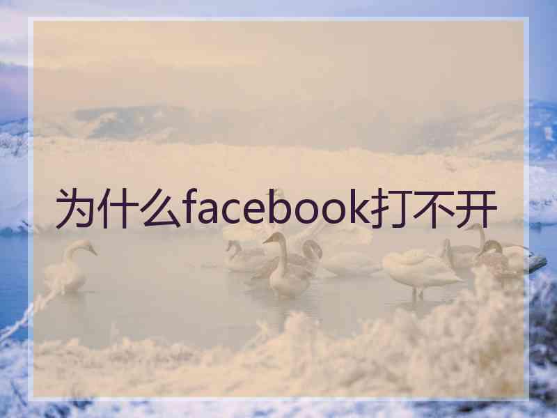 为什么facebook打不开