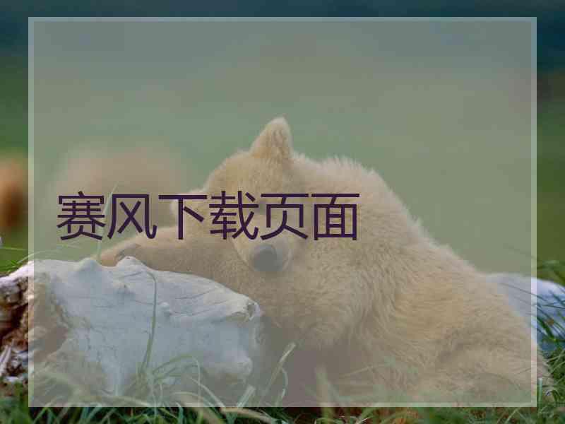 赛风下载页面