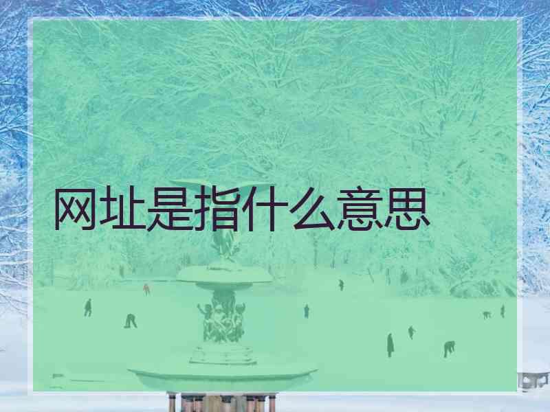 网址是指什么意思