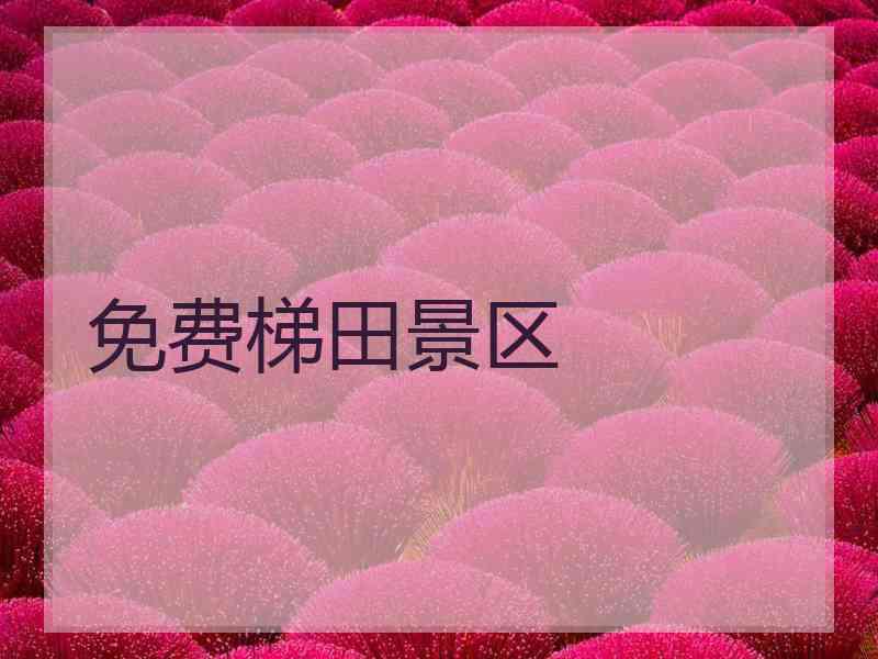 免费梯田景区