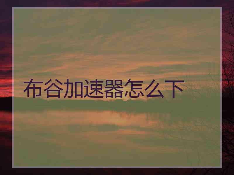 布谷加速器怎么下