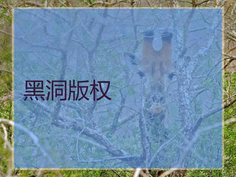 黑洞版权