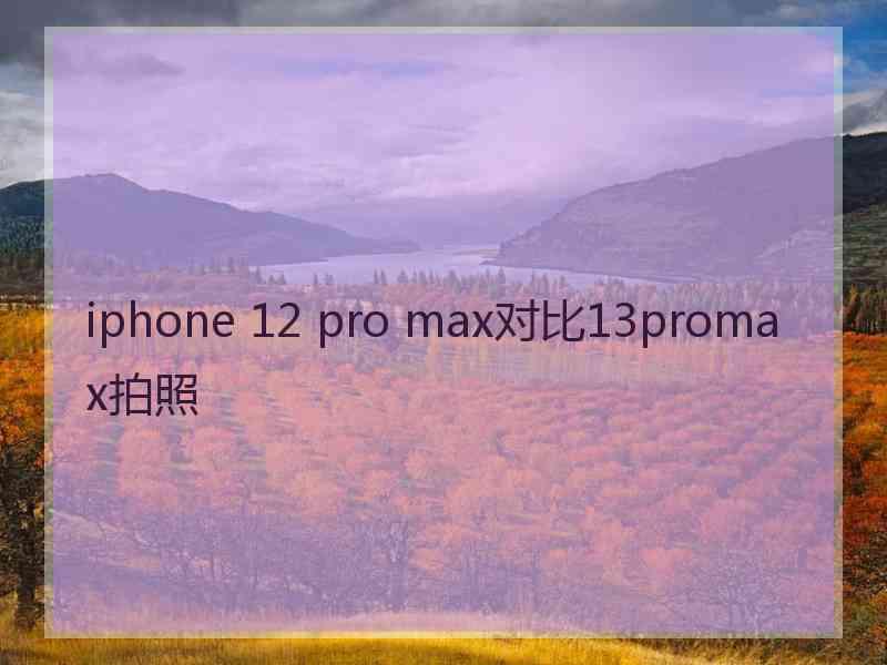 iphone 12 pro max对比13promax拍照