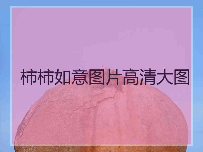柿柿如意图片高清大图