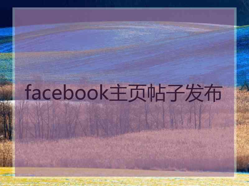 facebook主页帖子发布