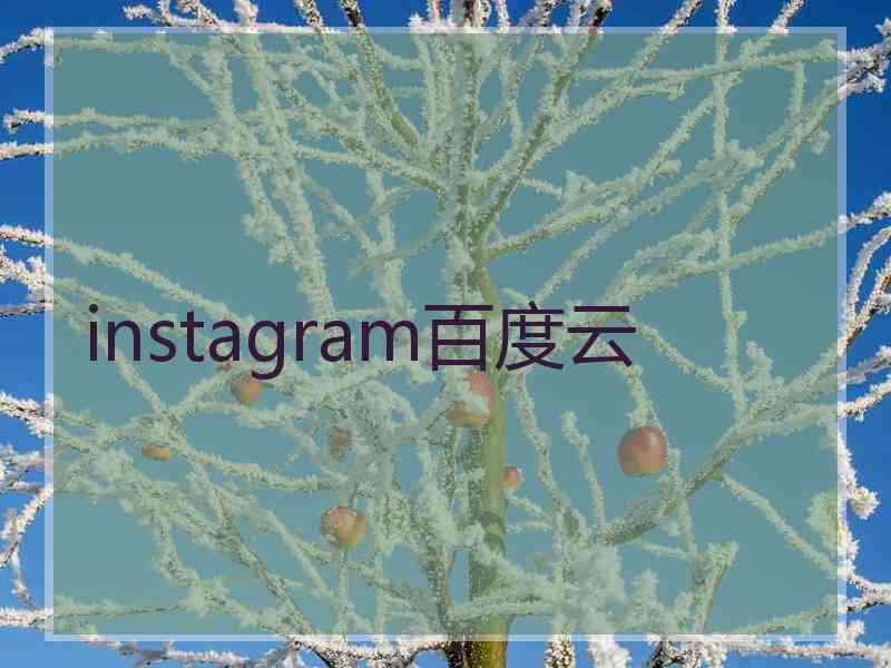instagram百度云