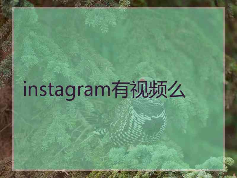instagram有视频么