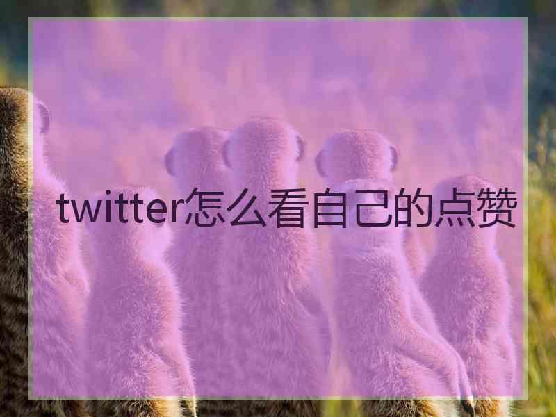 twitter怎么看自己的点赞
