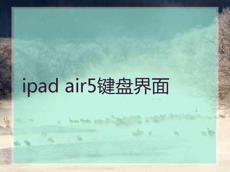 ipad air5键盘界面
