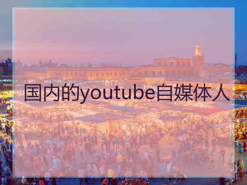 国内的youtube自媒体人