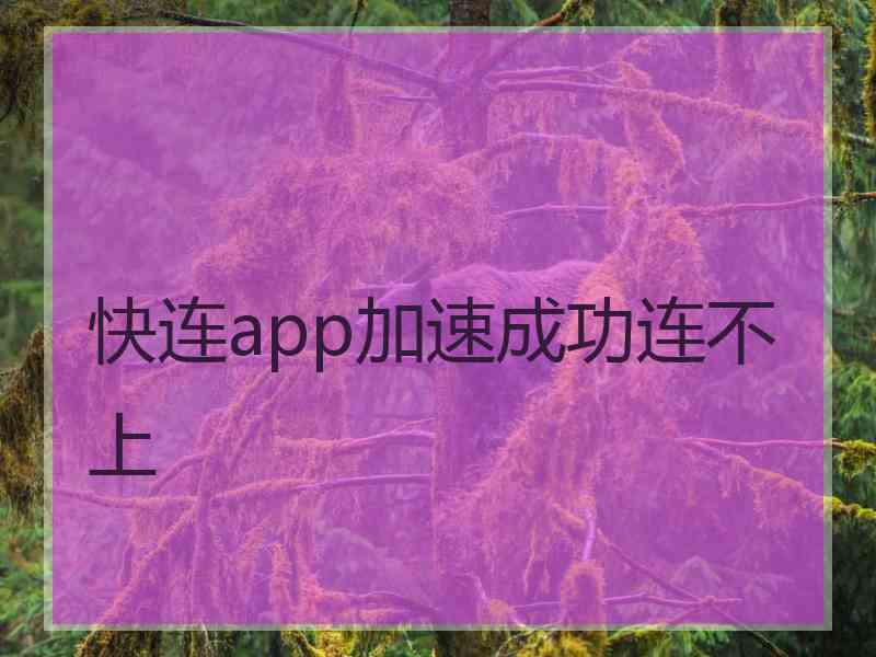 快连app加速成功连不上