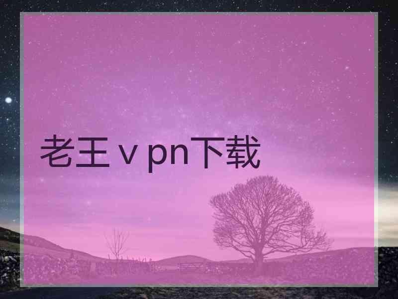 老王ⅴpn下载