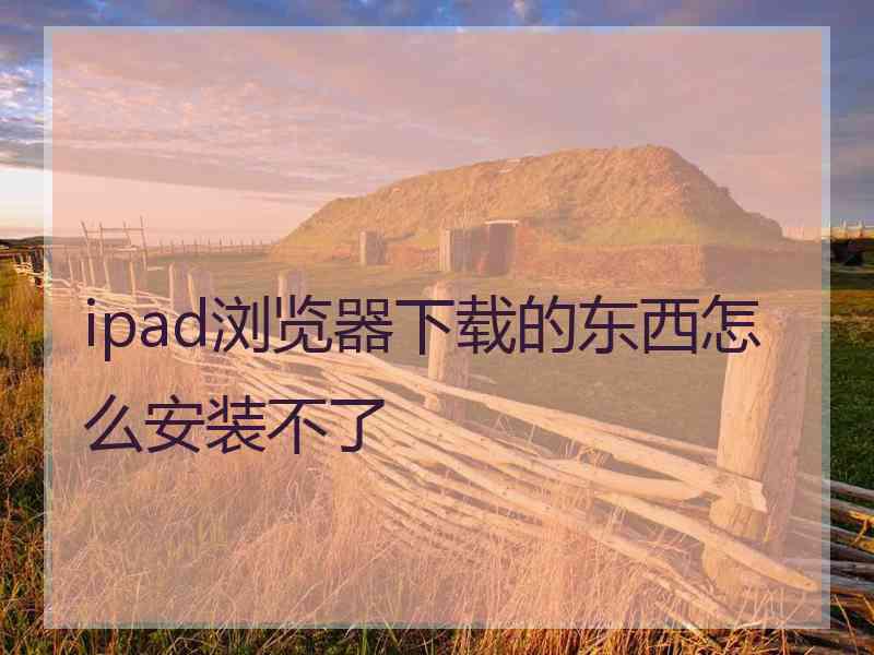 ipad浏览器下载的东西怎么安装不了