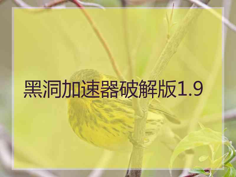 黑洞加速器破解版1.9