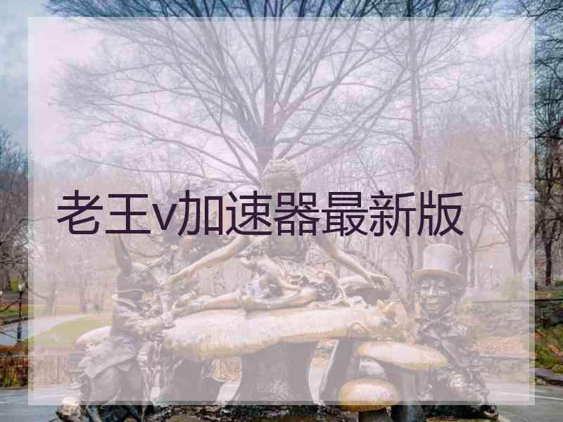 老王v加速器最新版