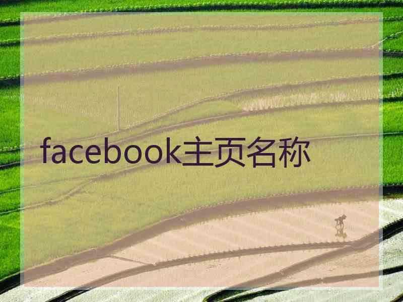 facebook主页名称